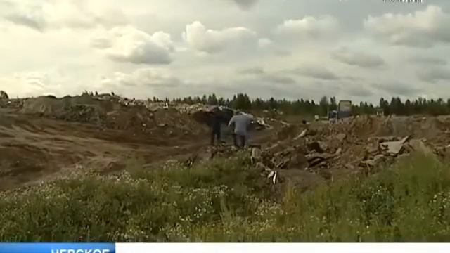 Объем незаконных отходов в окрестностях Шушар достиг 200 тысяч кубометров