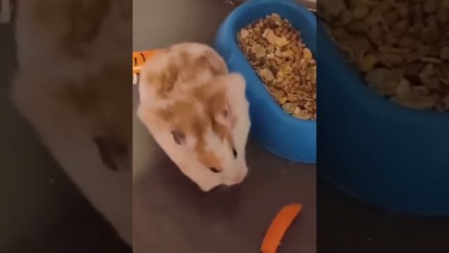 1000009593.mp4