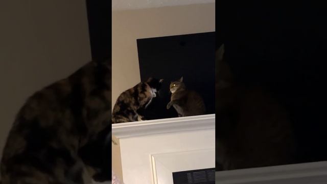 1000009590.mp4