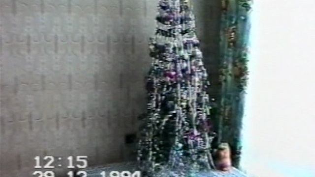 1994.12.29 БИКМЕТОВ у них дома с ИРИНОЙ 01-10