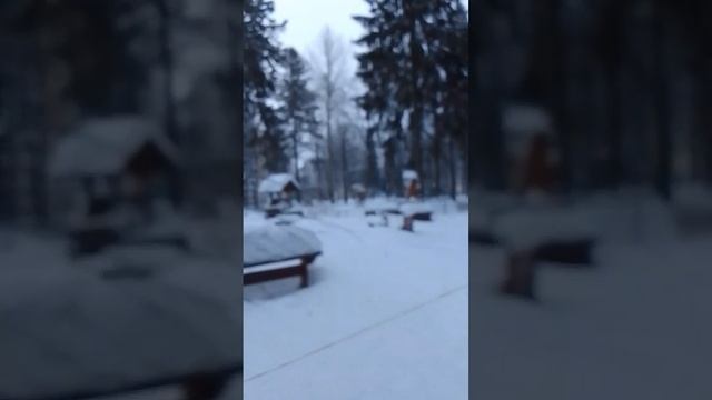 VID-20250114-WA0019