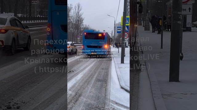 Плохо заметный лежачий полицейский из асфальта появился на Осеннем бульваре в Крылатском