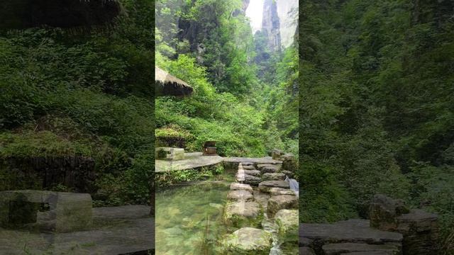 Beautiful view in vilage