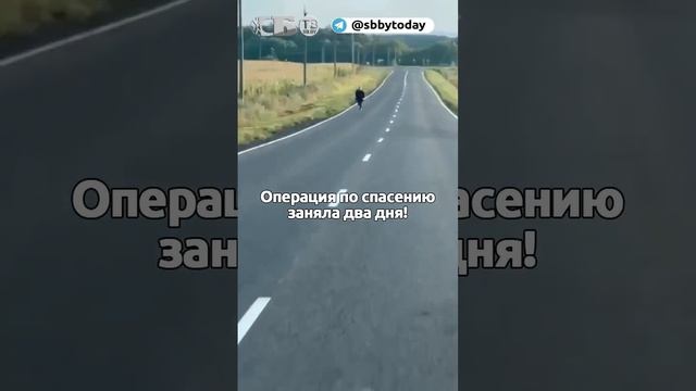 Военный Канал