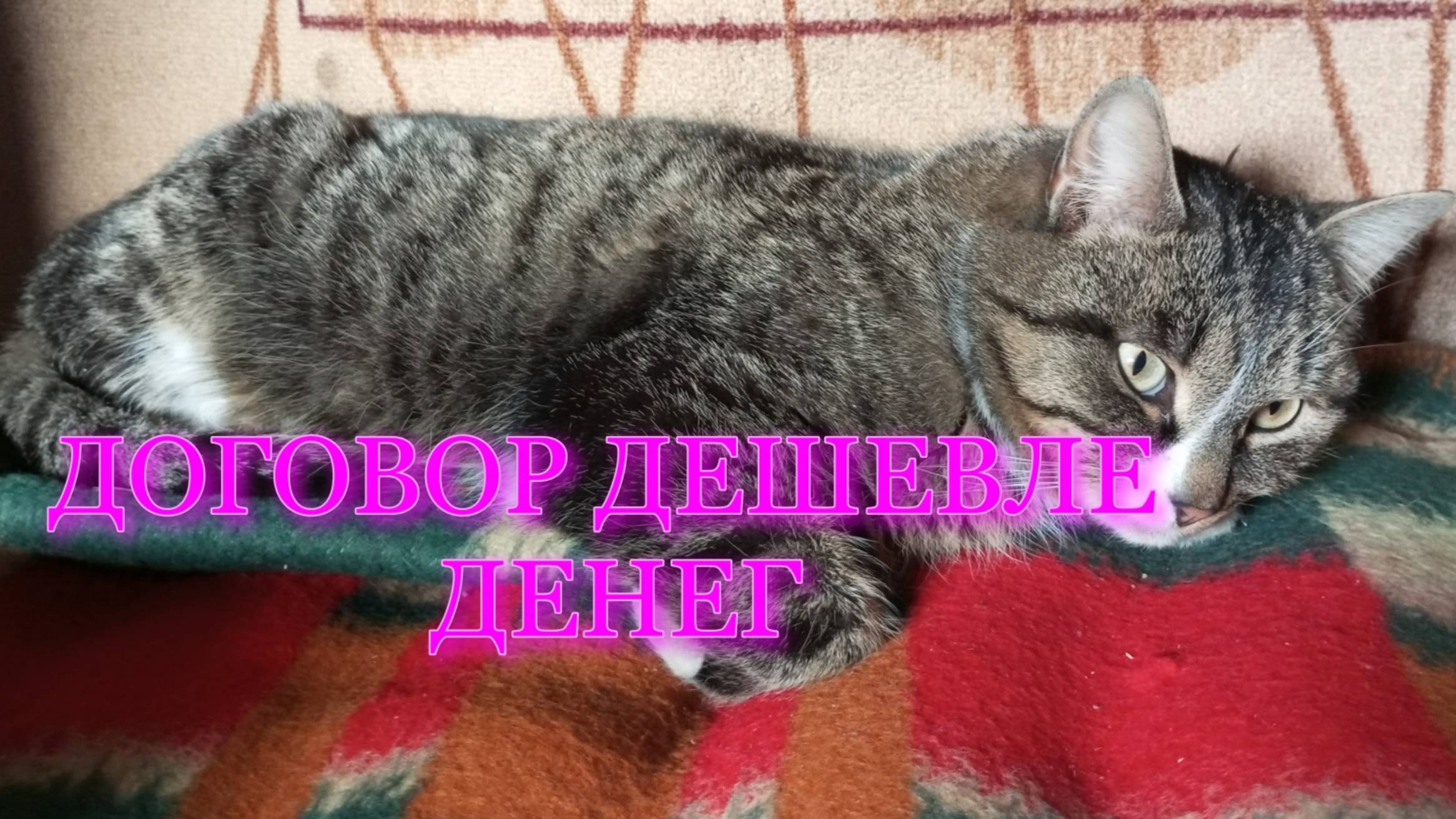 Договор_не_дороже_денег