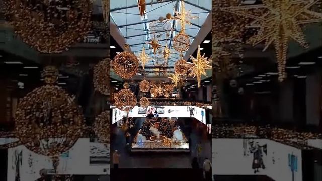 Зимние дни в Волгограде
