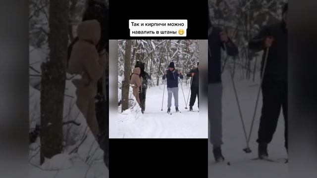 Медведь пранкер. Прикол.
