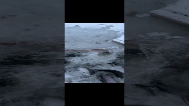 14-01-2025