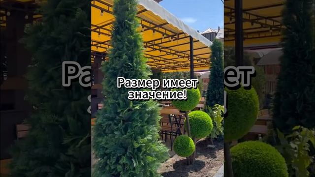 🌿✨ Как выбрать идеальные искусственные растения для вашего ресторана ✨🌿