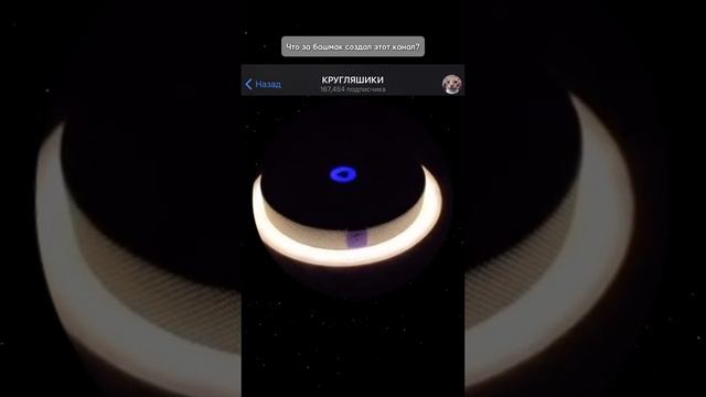 #кругляшики