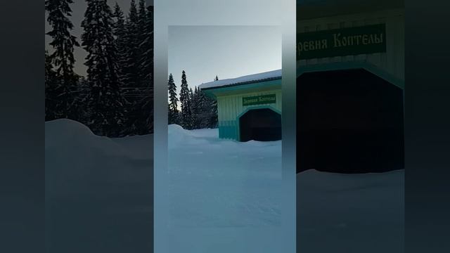 Чистим Печень после Праздников☝️😊