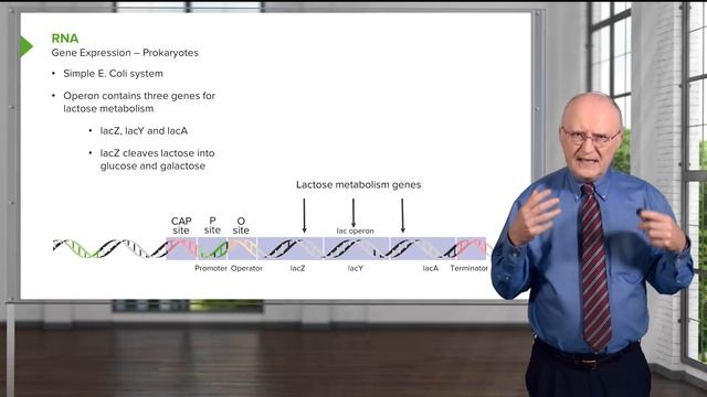 01. RNA Basic Knowledge