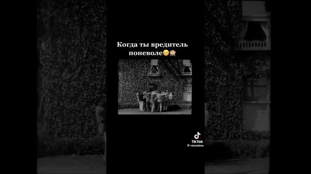 Когда ты вредитель по неволе.