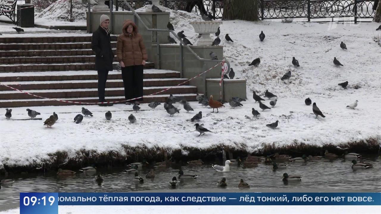 Россию ждет аномально теплый январь
