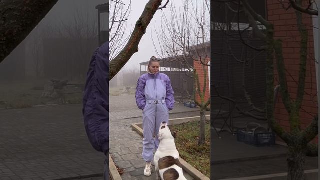 взрослая жизнь