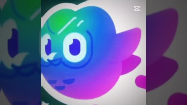 SUPER DUOLINGO
