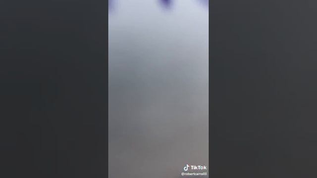 Pepsi Coco cola experiment with Egg..