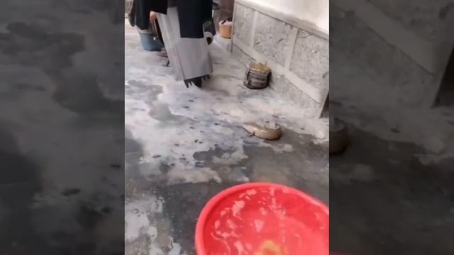 1000071270.mp4