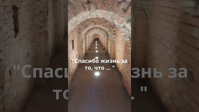 "Спасибо жизнь за то, что вновь приходит день ..." Роберт Рождественский