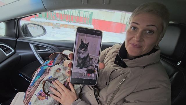 Первая встреча 16.11.2024