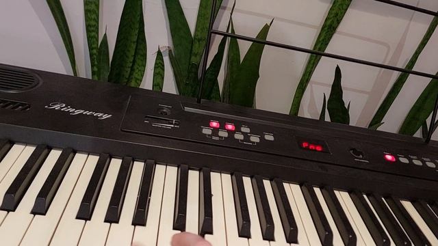 20250114_205644.mp4