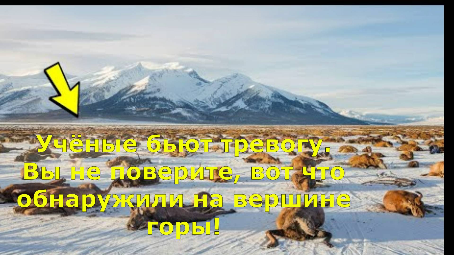 Учёные бьют тревогу. Вы не поверите, вот что обнаружили на вершине горы!