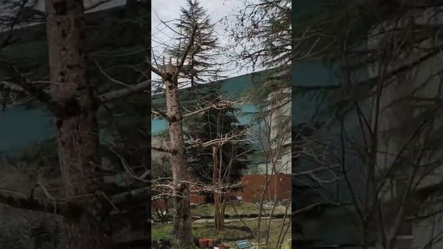 как говорил Иисус Христос