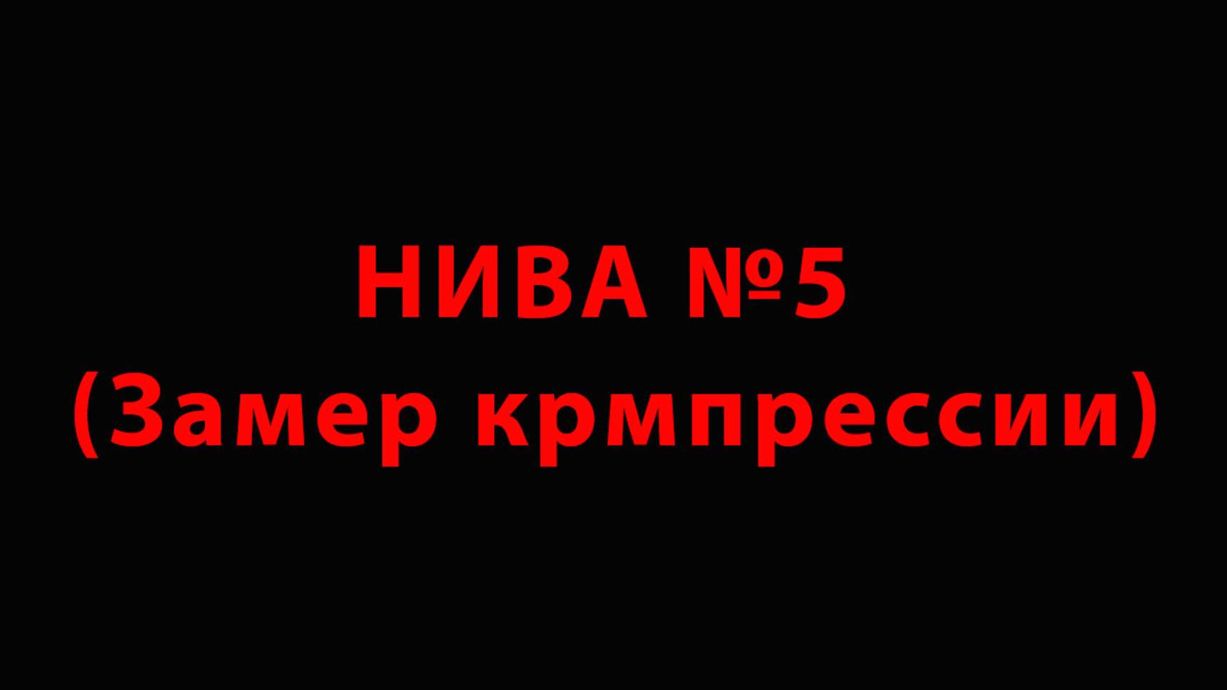 Нива №5 (Замер компрессии)