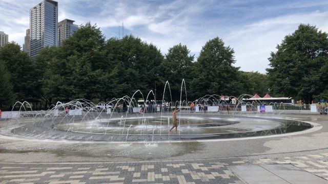 Millennium park | Chicago  | July 2020