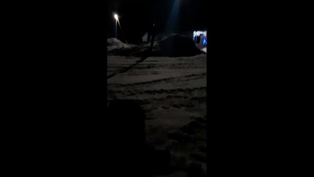 Влог с Басиком\ТутаБасик