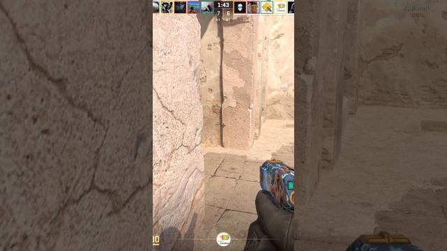 Zeus25011407