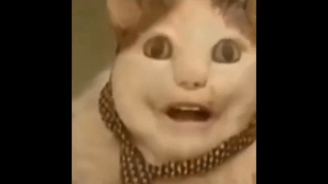 бу испугался небои́ся