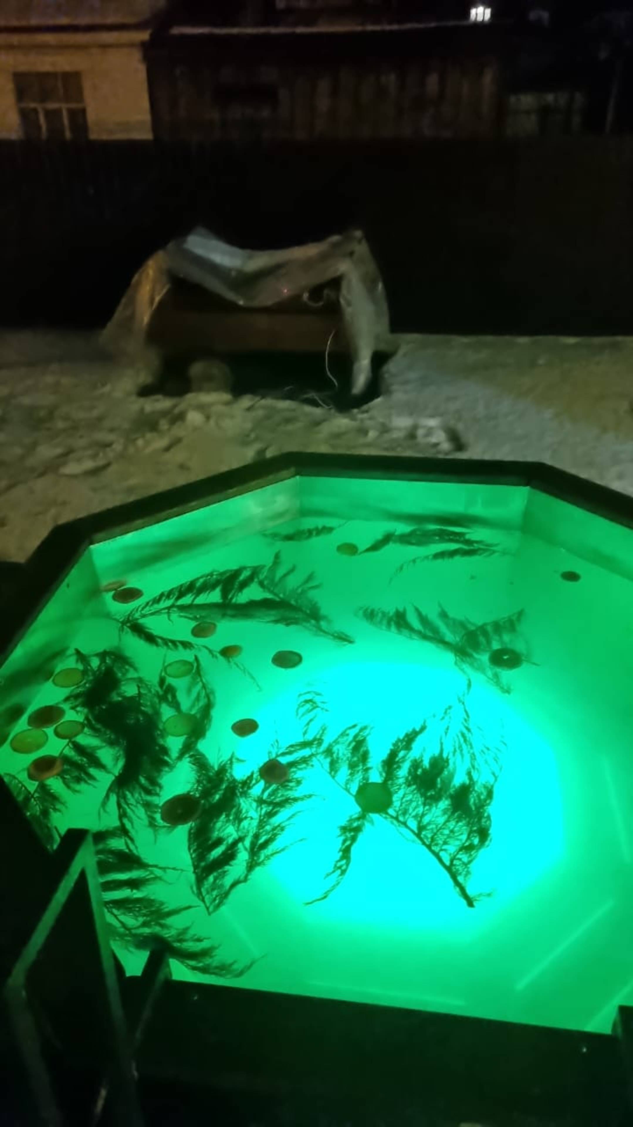 Чан