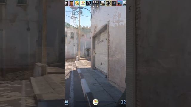 Zeus25011406