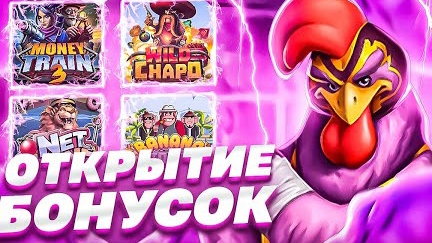 заносы недели 2025 выпуск 3