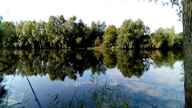 Дворяновский пруд под Сосновкой. 19 августа 2018 г.