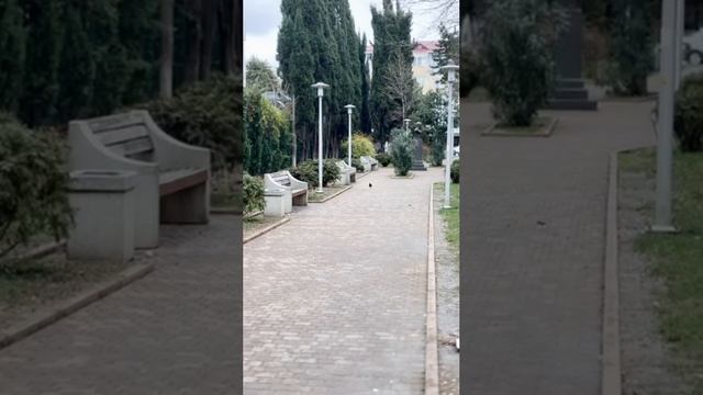 Зимний Туапсе за 40 секунд