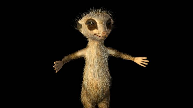 Meercat(Сурикат)