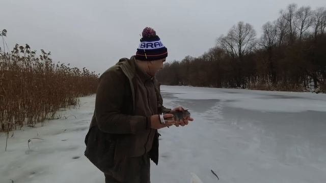 ЯК ЗЛОВИТИ ГАРНИХ ОКУНІВ З ЛЬОДУ НА БАЛАНСИР МІКРОН ... МІКРОН ВАЛИТЬ ))