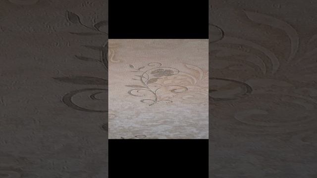 1000000033.mp4