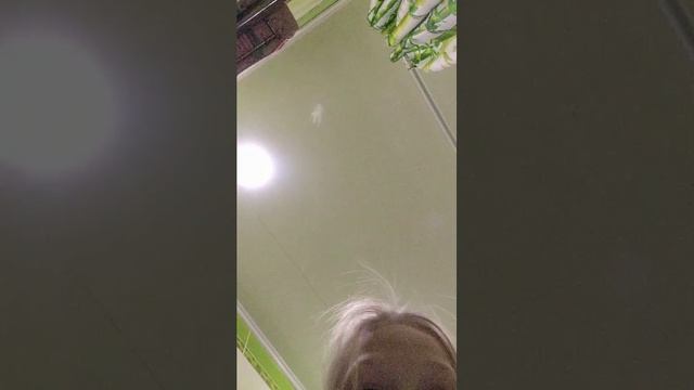 рл