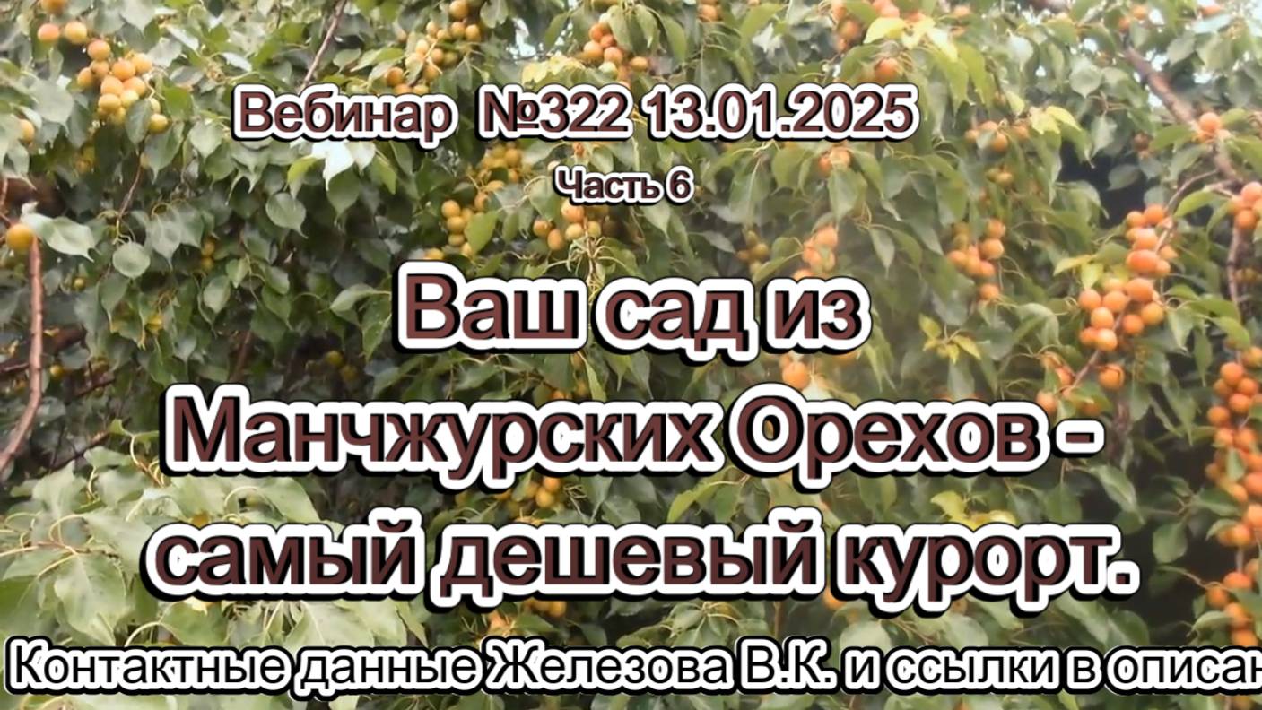 Железов Валерий. Вебинар 322. ч.6. Ваш сад из Манчжурских Орехов - самый дешевый курорт.