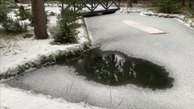 Текущее по пруду.Зимы не будет.Малек в полынье.