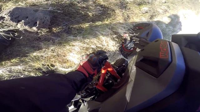 How NOT to ride a Grom (Fail)