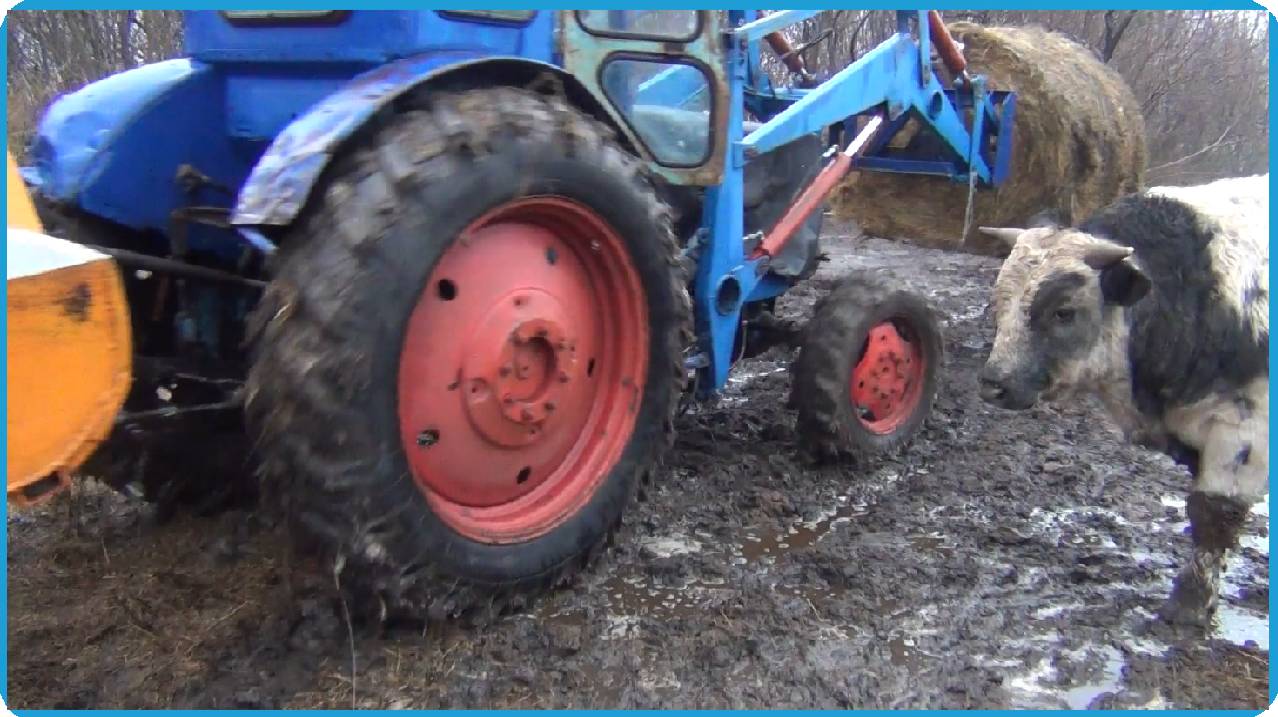 в фермерском хозяйстве по другому никак, МЕСИМ ГРЯЗЬ НА УЧАСТКЕ, ЖИЗНЬ В ДЕРЕВНЕ