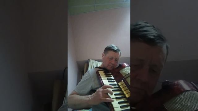 Аккордеон по цифрам для гармони