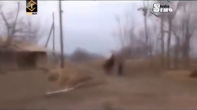 Чамила Каримова  Бачаи Гарми