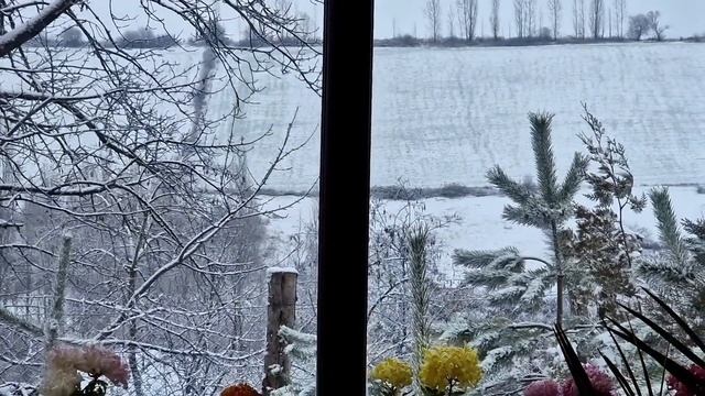 Kənd Həyatı. Жизнь в Горах. Бабушка Приготовила Хинкали с Курицей.