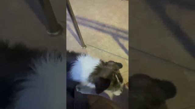 1000000667.mp4