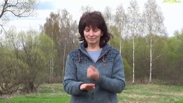 Простукивание кистей рук для активизации жизненных сил и улучшения внимания. Про